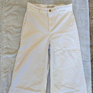 Everlane Wide Leg pants